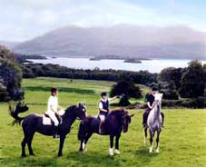 Daily guided trail rides - horse riding during the holidays